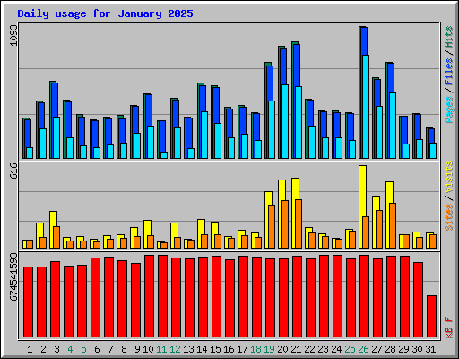Daily usage for January 2025