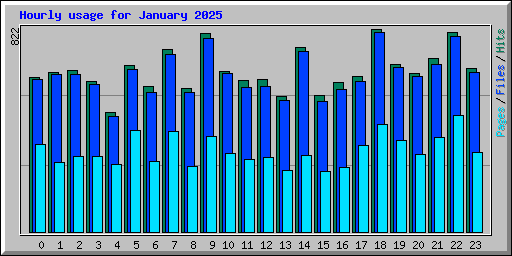 Hourly usage for January 2025