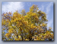 [Click to enlarge image]