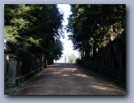 [Click to enlarge image]