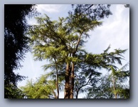 [Click to enlarge image]