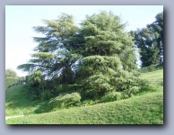 [Click to enlarge image]